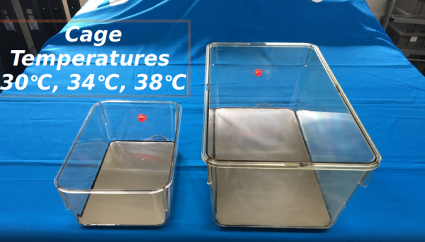AIMS™ Lab Products | Warming/Induction Chambers