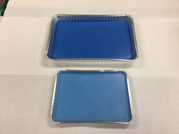 AIMS™ Lab Products Dissection Trays